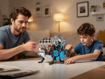 Beginner Builds